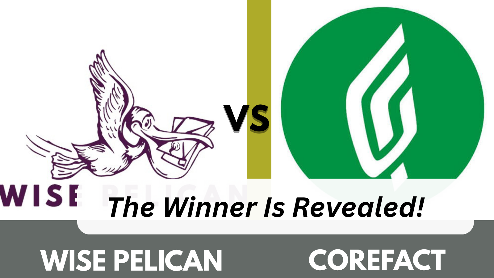 Overview of Wise Pelican and Corefact features and dashboards