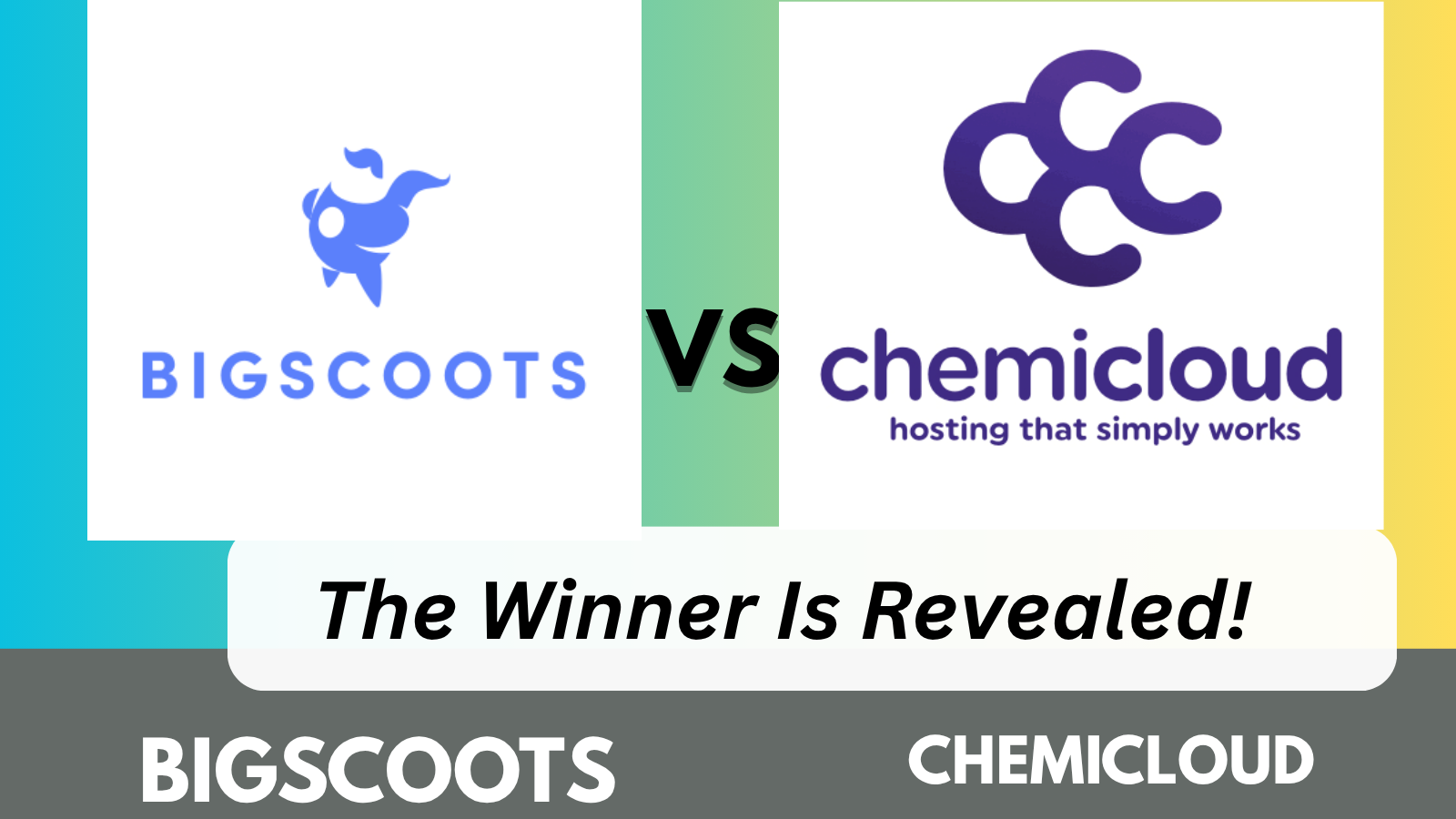 Overview of Bigscoots and Chemicloud hosting dashboards